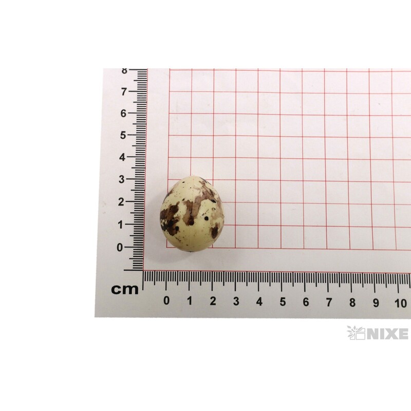 VAJÍČKA 60ks 3cm*PŘÍRODNÍ