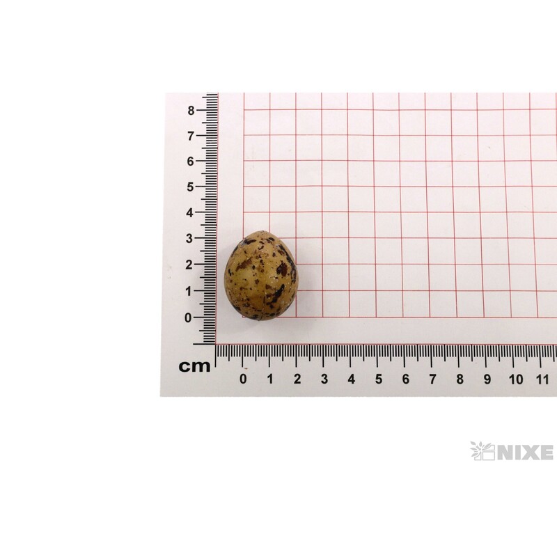 VAJÍČKA 15ks 3cm*PŘÍRODNÍ