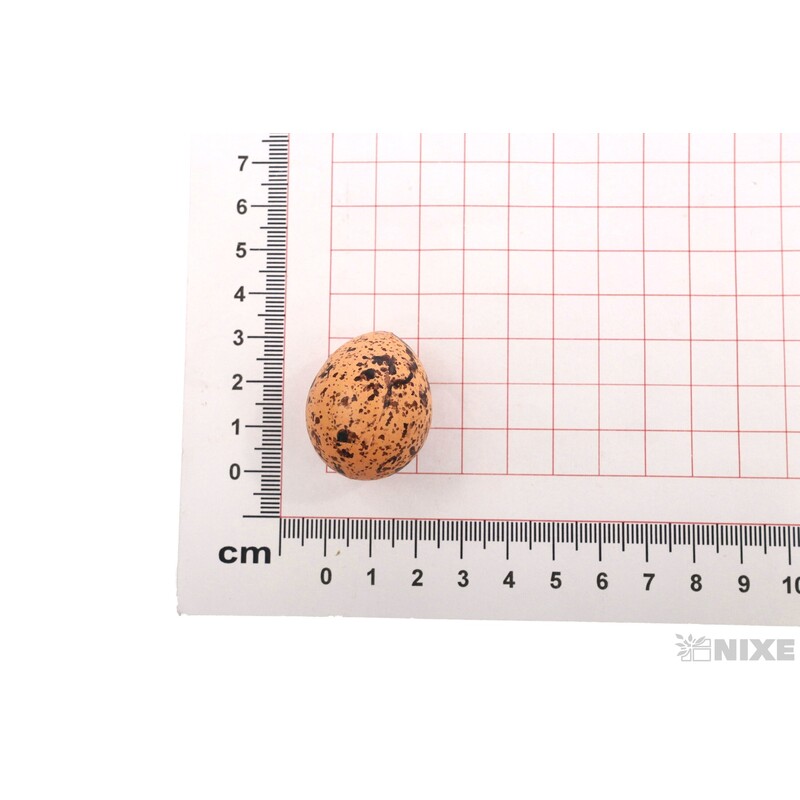 VAJÍČKA 15ks 3cm*ORANŽOVÁ