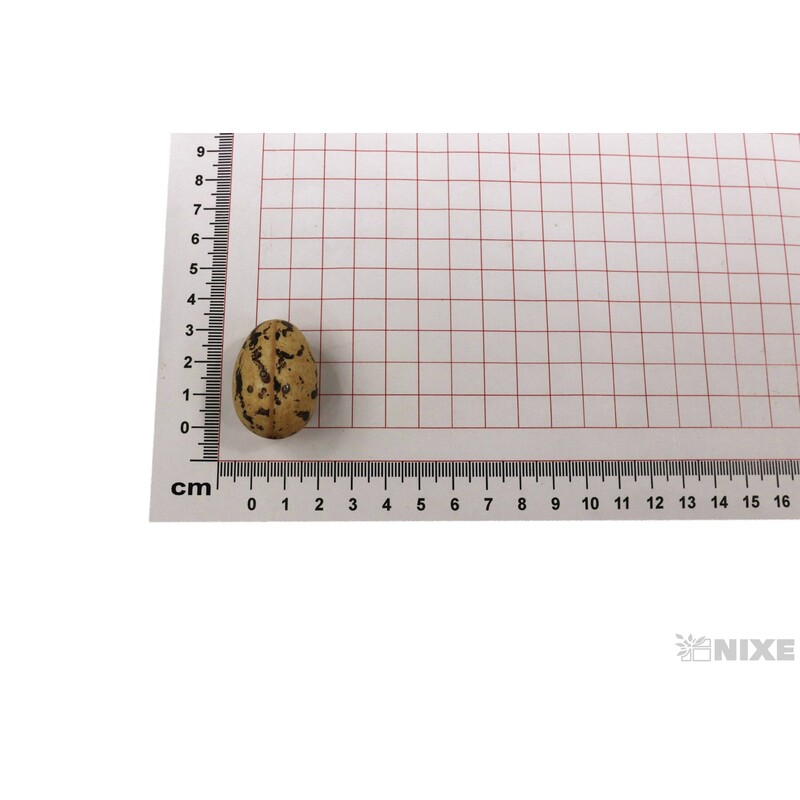 VAJÍČKA 20ks 3,5cm*MIX BAREV