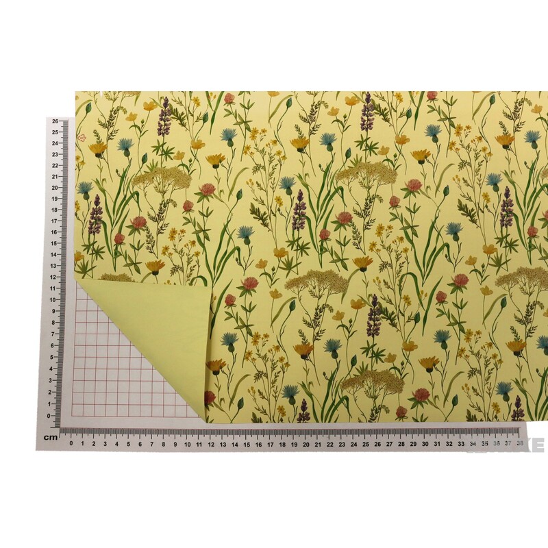 ROLE PRATO 70cmx40m*KRÉMOVÁ