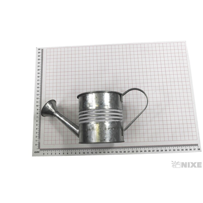 PLECHOVÁ KONEV 10x10cm*