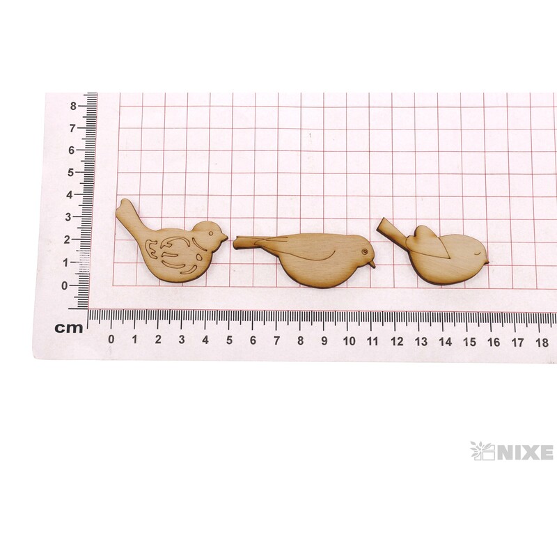 PTÁČEK XD 5-6cm 12ks*PŘÍRODNÍ