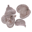 BADAM NUT 6x8cm 10ks*BÍLÁ