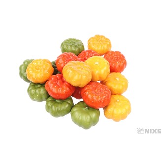 DÝNE 3x4,5cm 18ks*MIX BAREV