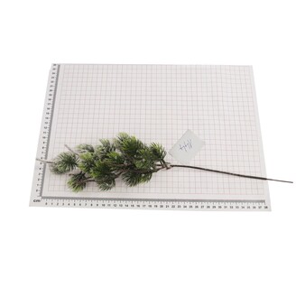 VĚTVIČKA VÁNOCE 45cm*ZELENÁ+BÍLÁ