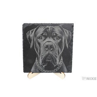 OBRAZ BŘIDLICE PES 20x20cm+STOJAN