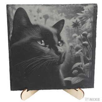 OBRAZ BŘIDLICE KOČKA 20x20cm+STOJAN