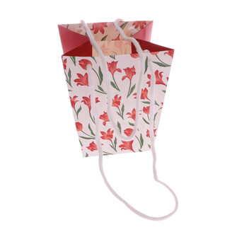 TAŠKA SIGNATURE ARIA 11x17x11cm*ČERVENÁ