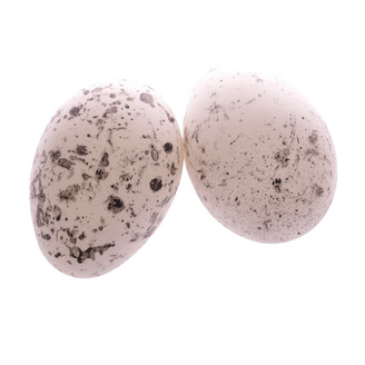 VAJÍČKA 6ks 9cm*MIX BAREV