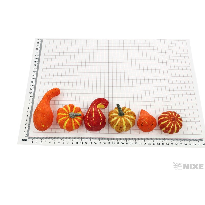 DÝNE 6-11cm 6ks*MIX BAREV