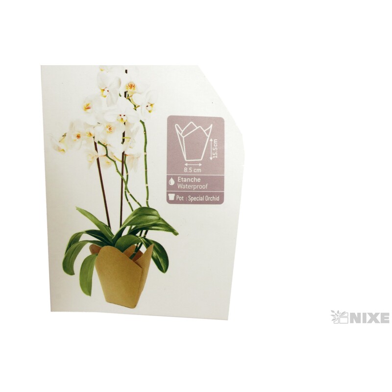 OBAL PAPÍR ORCHID 8,5x15,5cm*PŘÍRODNÍ