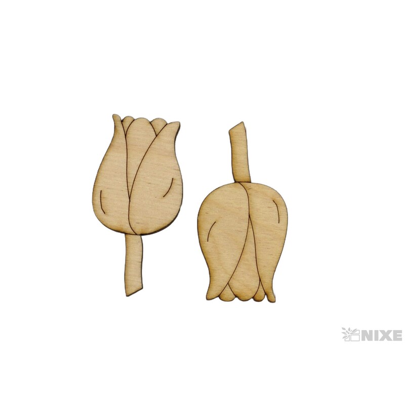 TULIPÁN XD 6cm 50ks*PŘÍRODNÍ