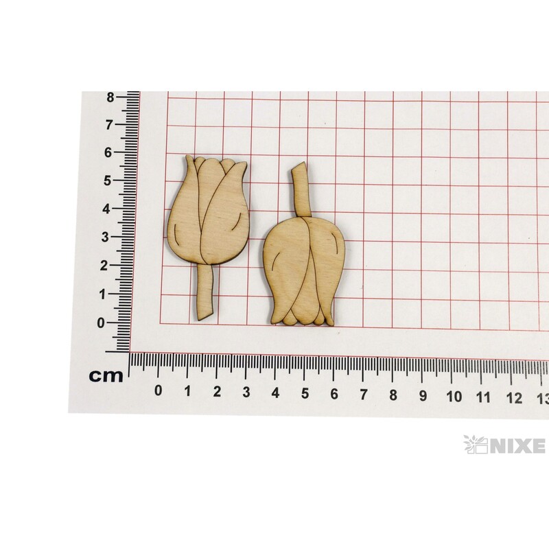 TULIPÁN XD 6cm 50ks*PŘÍRODNÍ