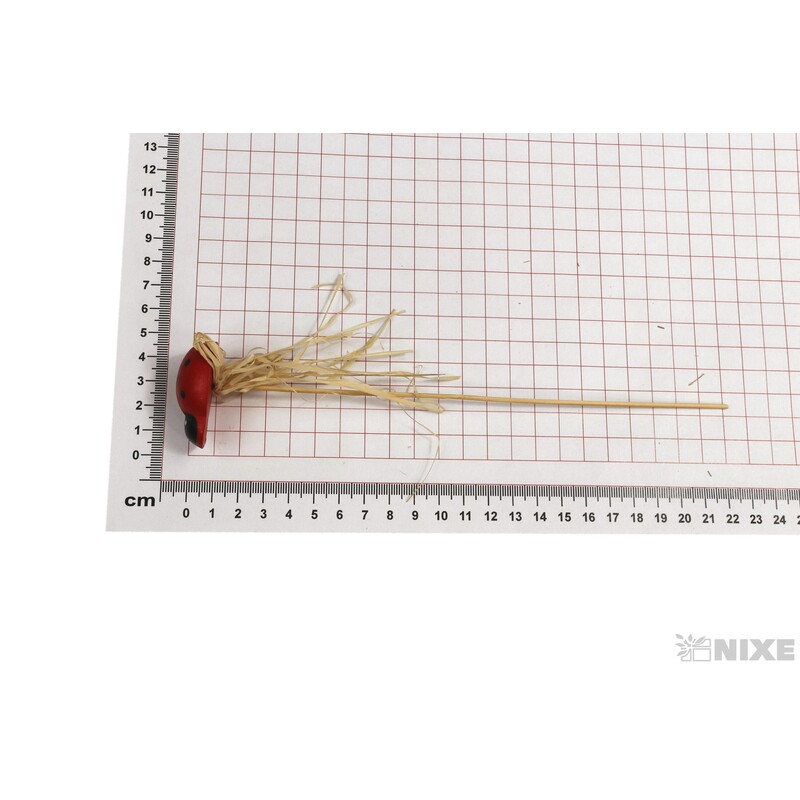 ZÁPICH BERUŠKA 4x22cm 12ks*ČERVENÁ