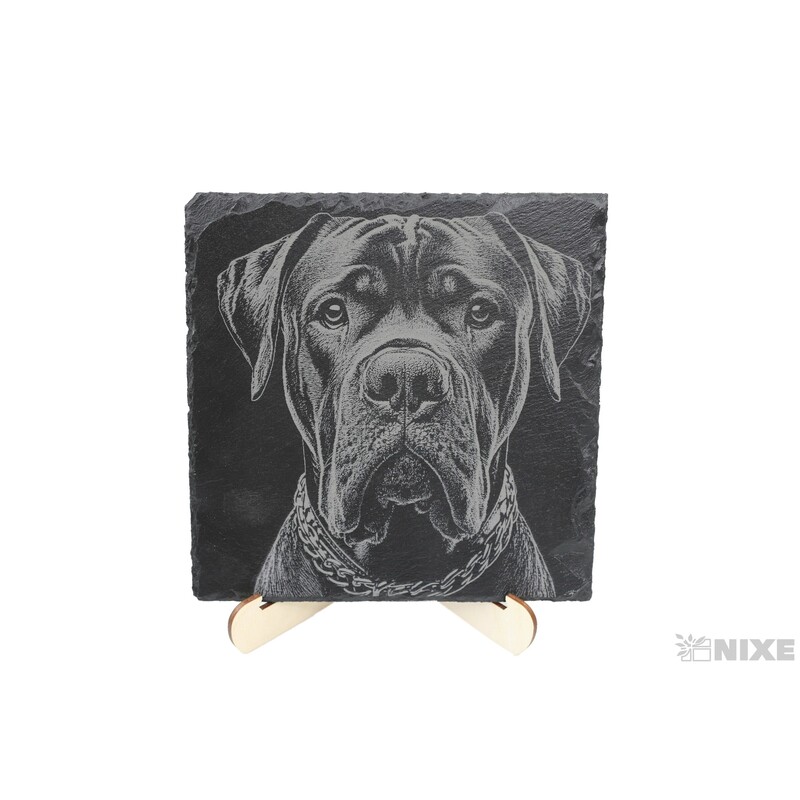 OBRAZ BŘIDLICE PES 20x20cm+STOJAN