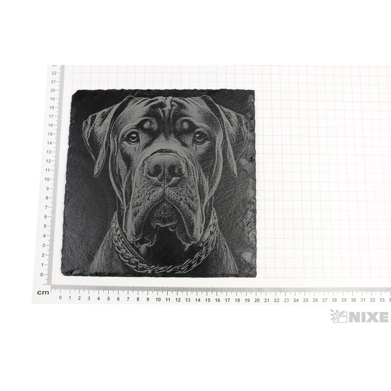 OBRAZ BŘIDLICE PES 20x20cm+STOJAN