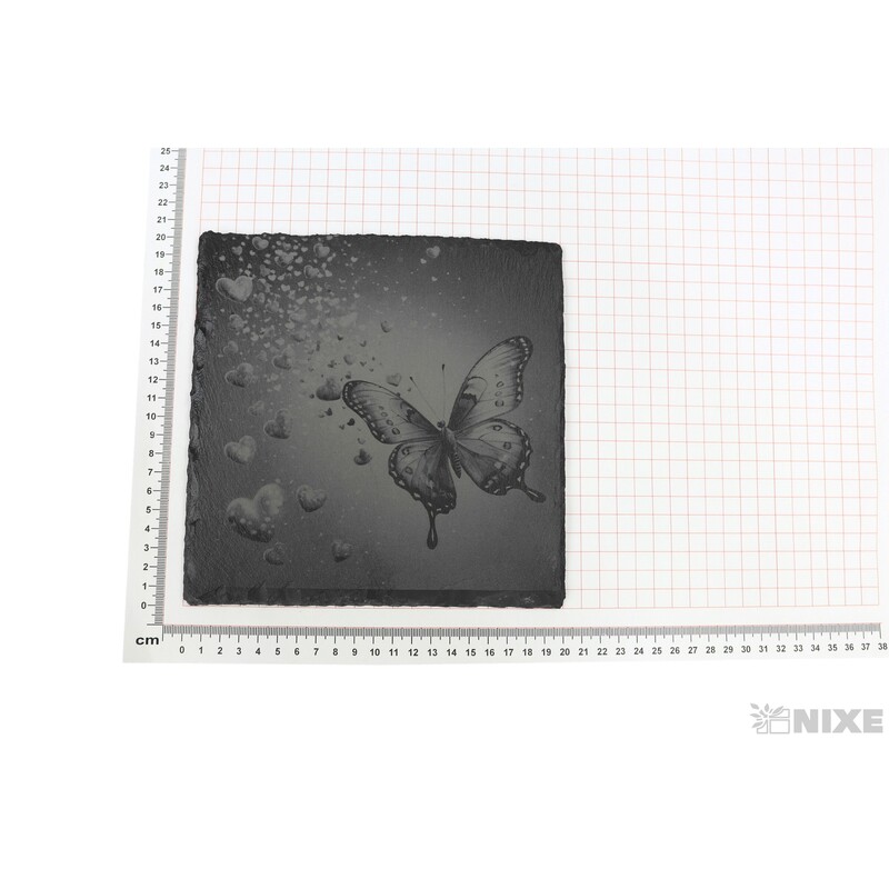 OBRAZ BŘIDLICE MOTÝL 20x20cm+STOJAN