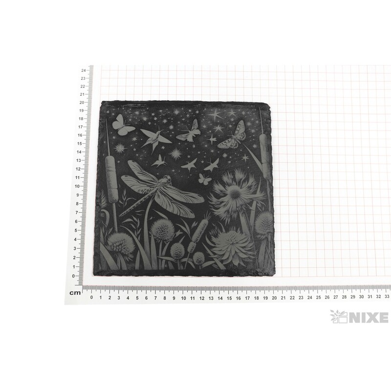 OBRAZ BŘIDLICE VÁŽKA 20x20cm+STOJAN