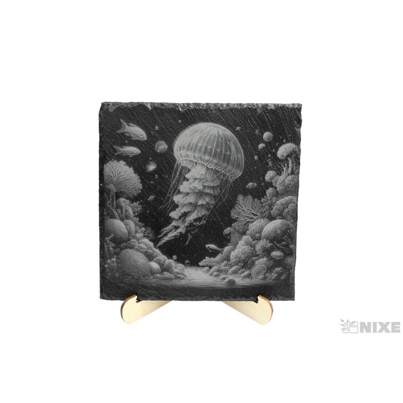 OBRAZ BŘIDLICE MEDŮZA 20x20cm+STOJAN