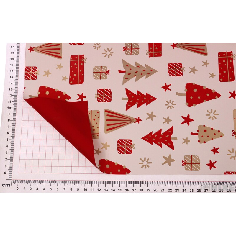 ROLE B-W02PM 80cmx40m*ČERVENÁ