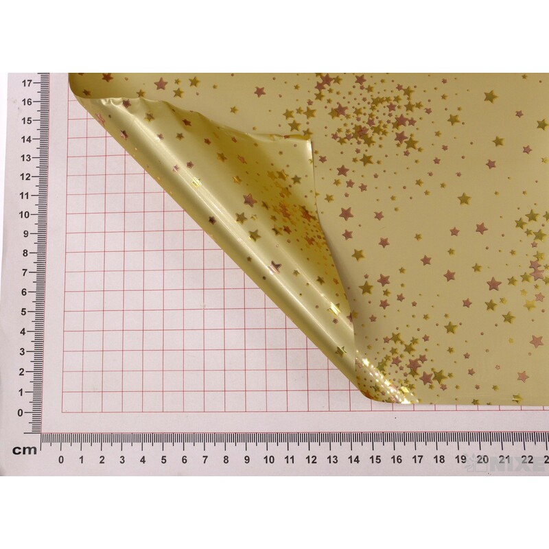 ROLE B-W08A1 70cmx50m*ZLATÁ