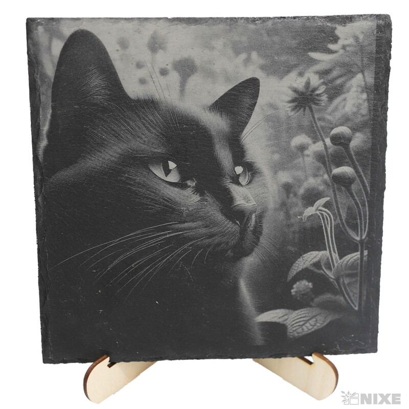 OBRAZ BŘIDLICE KOČKA 20x20cm+STOJAN