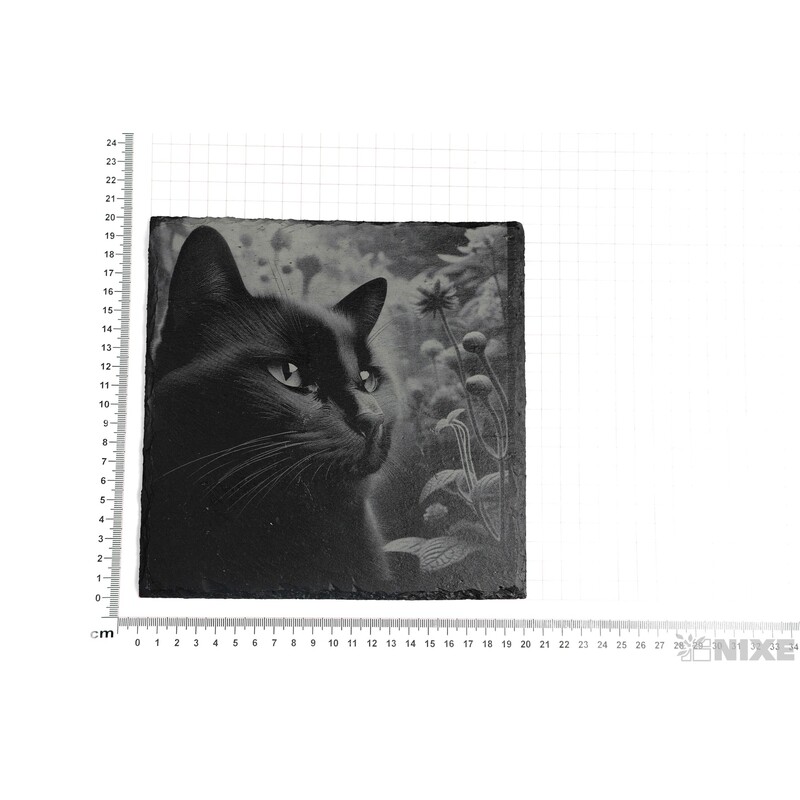 OBRAZ BŘIDLICE KOČKA 20x20cm+STOJAN