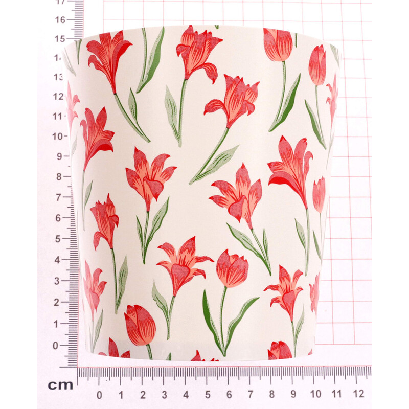 OBAL EUREKA 9,5x12,5cm*ČERVENÁ