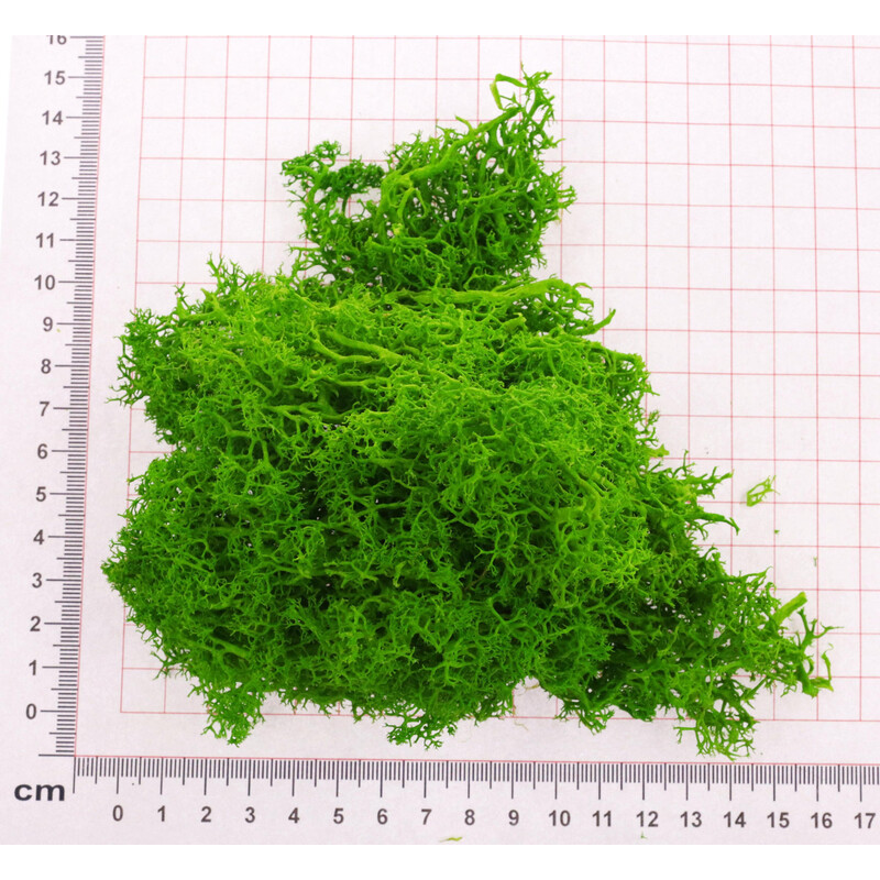 MECH 1kg*ZELENÁ SV.