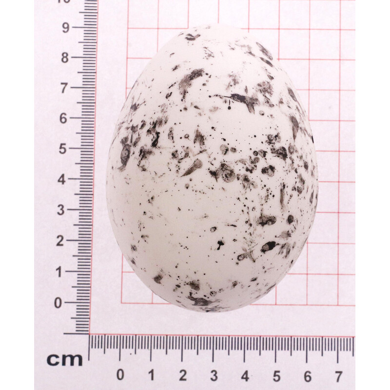 VAJÍČKA 6ks 9cm*MIX BAREV