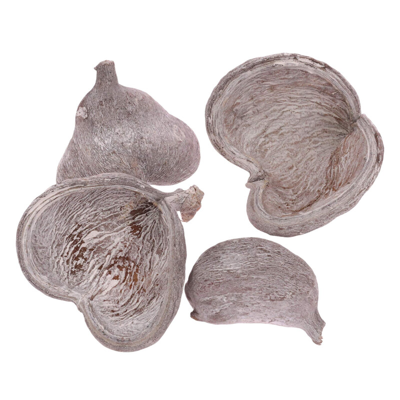 BADAM NUT 6x8cm 10ks*BÍLÁ
